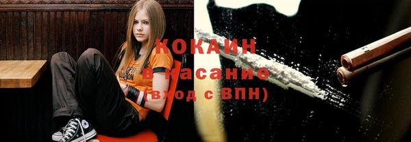 дмт Алексин