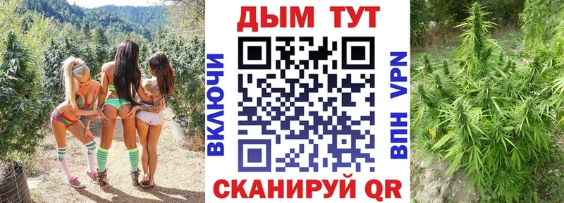 kraken маркетплейс  Приморск  Каннабис AK-47 